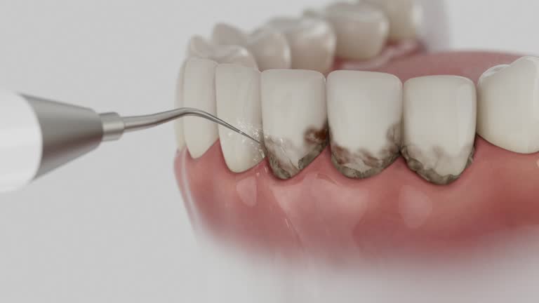 Reliable Dental contractor in Kanawha County County, WV by Dentist Open Now